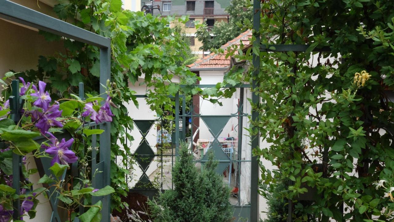 Kompleks Apartmana Superstar23A Soko Banja Exteriér fotografie