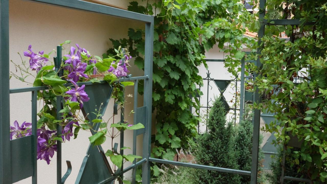 Kompleks Apartmana Superstar23A Soko Banja Exteriér fotografie
