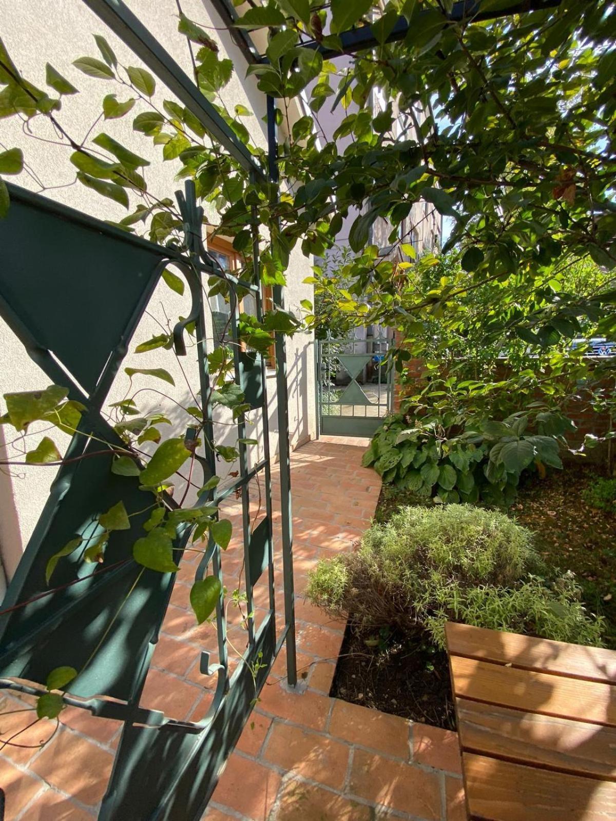 Kompleks Apartmana Superstar23A Soko Banja Exteriér fotografie