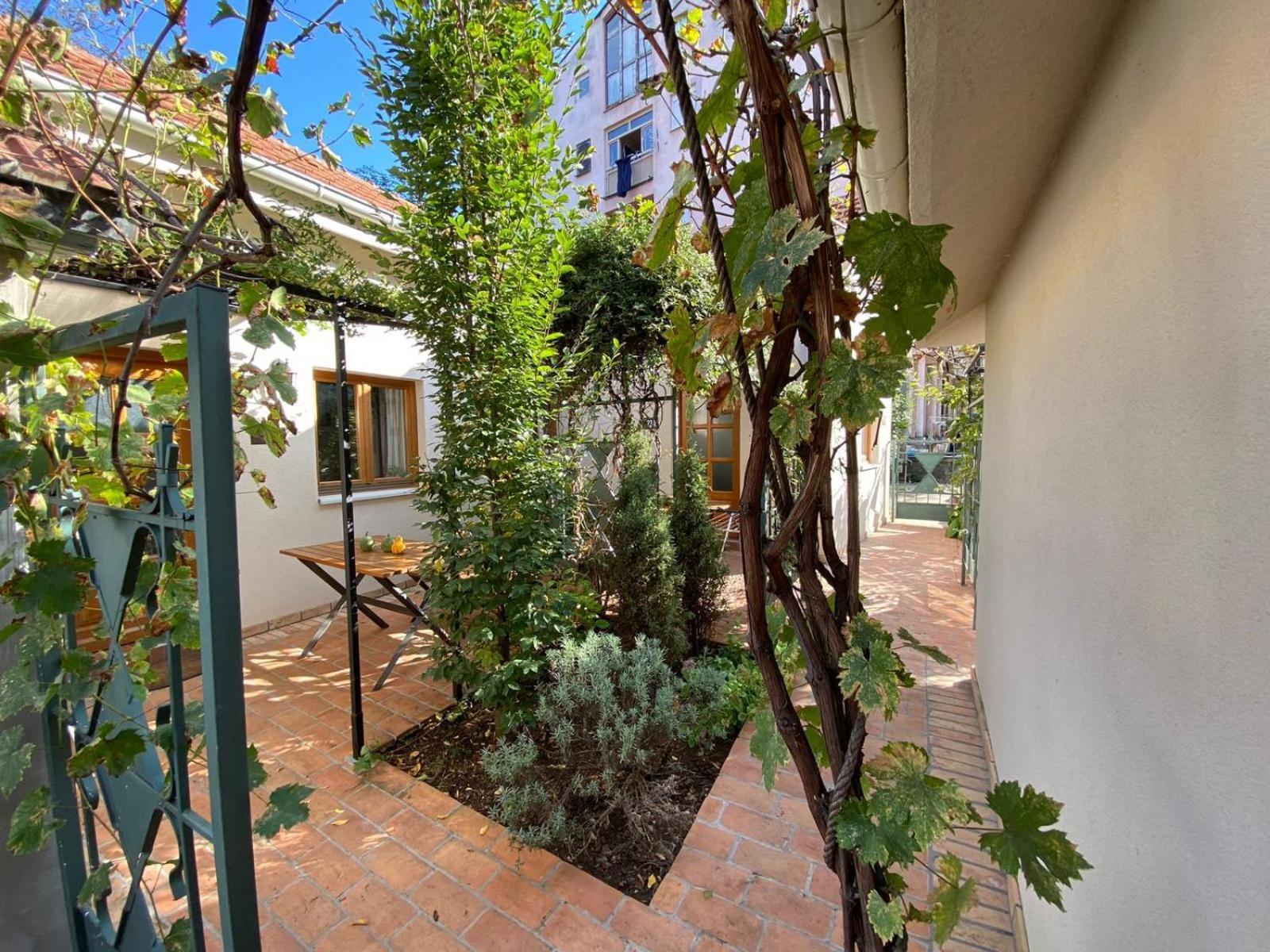 Kompleks Apartmana Superstar23A Soko Banja Exteriér fotografie