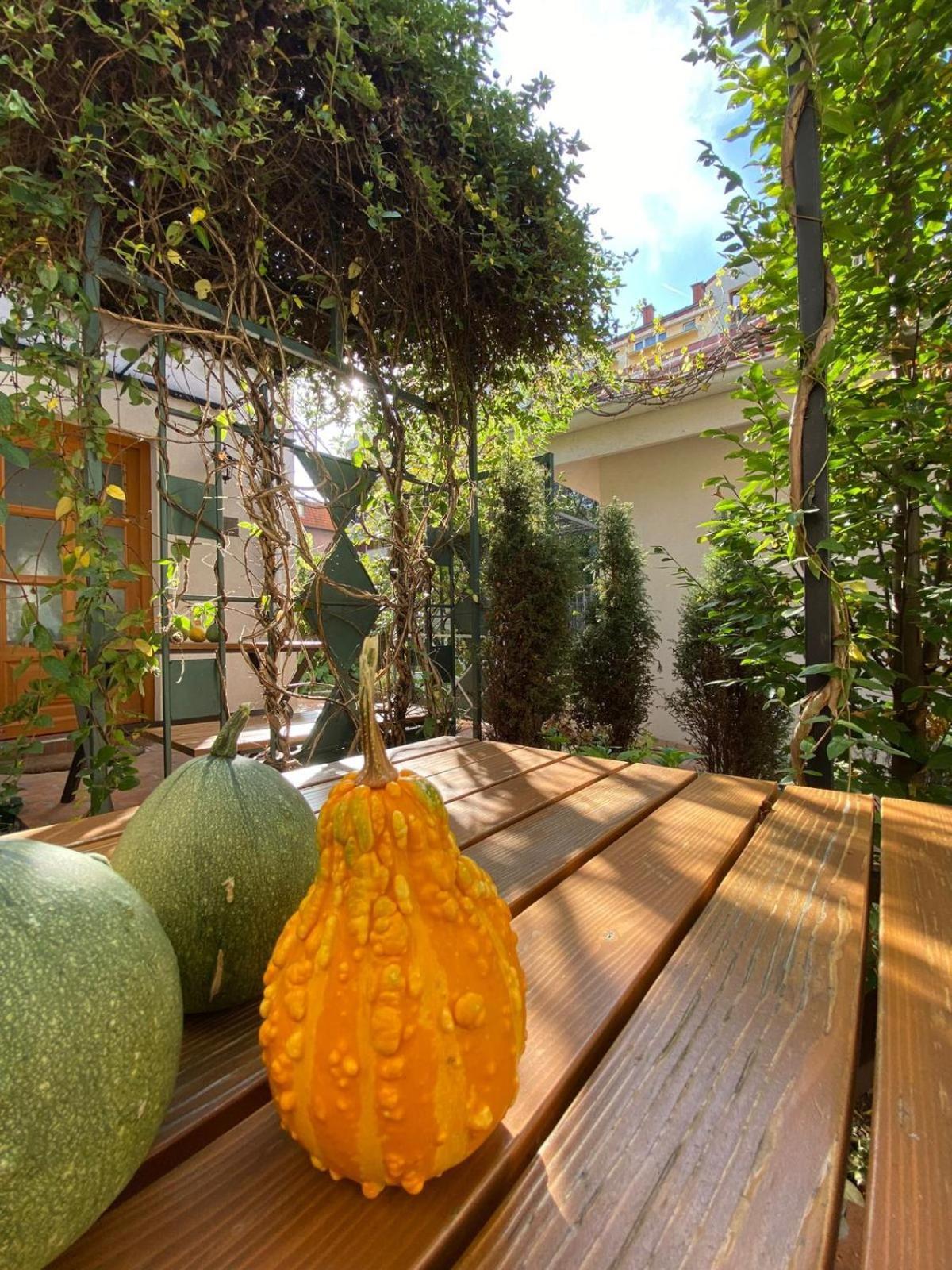 Kompleks Apartmana Superstar23A Soko Banja Exteriér fotografie